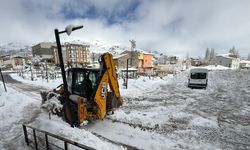 Van, Hakkari ve Bitlis'te 103 yerleşim yerine ulaşım sağlanamıyor