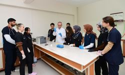 Van kedilerinde 'B' kan grubunun daha baskın olduğu belirlendi