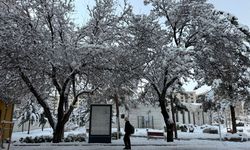 Van, Muş, Bitlis ve Hakkari'de 758 yerleşim yerine ulaşım sağlanamıyor