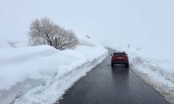 Van ve Hakkari'de 82 yerleşim yerinin yolu ulaşıma kapandı