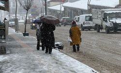 Van'ın Başkale ilçesinde kar etkili oldu