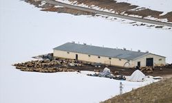 Van'ın kırsal mahallelerinde baharda da karla mücadele sürüyor