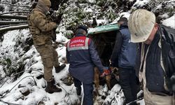 Zonguldak'ta ruhsatsız işletilen 10 maden ocağı imha edildi