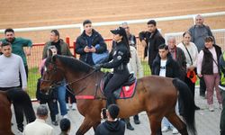 Adana'da Portakal Çiçeği Koşusu'nu 'Mountain' isimli safkan kazandı