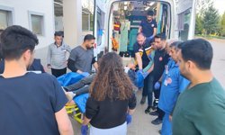 Adıyaman'da çıkan bıçaklı kavgada 4 kişi yaralandı