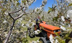 Afyonkarahisar'da '5. Geleneksel Sultandağı Kiraz Çiçeği Foto Safari' etkinliği yapıldı