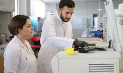 Ağrı'da akademisyen çift çeşitli hastalıkları araştırmak için zebra balığından yararlanıyor