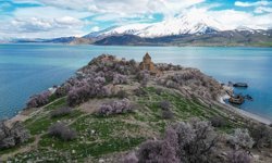 Akdamar Adası çiçek açan badem ağaçlarıyla renklendi