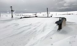 Ardahan'da yayla evleri baharda kar altında kaldı