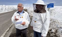 Arıcılardan Ardahan-Ardanuç kara yolunun kışın açık tutulması talebi