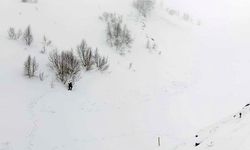 Artvin'de çığ bölgesinde gözlemsel etüt ve kar rasatı çalışması yapıldı