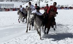 Ata sporu 'kökbörü' Türkiye'de yaygınlaşıyor