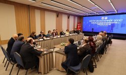 Başkentte 'Eğitim Ekosisteminde Şiddet: Kurumlar Arası Koordinasyon ve Sorumluluklar' çalıştayı düzenlendi