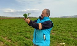 Batman'da artan yağış çiftçileri verim konusunda umutlandırdı