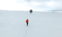 Bingöl'ün kuzeyinde kış, güneyinde bahar yaşanıyor