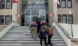 Bitlis'te 3 ayda 88 düzensiz göçmen yakalandı