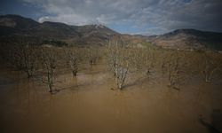 Bursa'da 3 gün süren sağanak Gürsu Ovası'nı su altında bıraktı