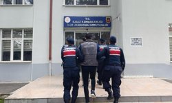 Çankırı'da büyükbaş hayvan çalan 2 şüpheli tutuklandı