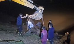 Cizre'de nehre düşen inek iş makinesiyle kurtarıldı
