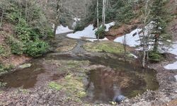 Düzce'nin yaylalarında iki mevsim bir arada yaşanıyor