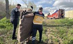 Edirne'de Tunca Nehri'ne düşen kişi kurtarıldı