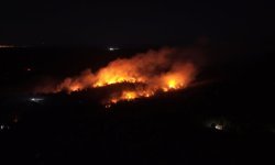 GÜNCELLEME 2 - Beykoz'da ormanlık alanda çıkan yangına müdahale sürüyor