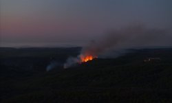 GÜNCELLEME - Beykoz'da ormanlık alanda çıkan yangına müdahale sürüyor