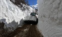 Hakkari'de karla mücadele sürüyor