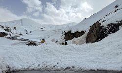 Hakkari'de kayak merkezi yoluna düşen çığ temizlendi