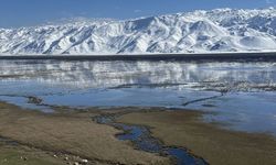 Hakkari'deki Nehil Sazlığı'nda su seviyesi yükseldi