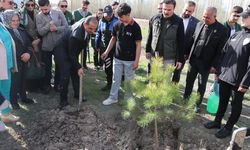 Iğdır Valisi Taşolar, kendisine CİMER'den ulaşan öğrenciyle fidan dikti