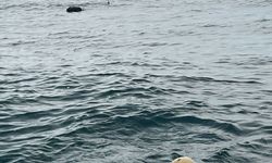 İğneada açıklarında tespit edilen mayın, SAS timlerince imha edildi