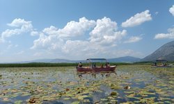 Işıklı Gölü'nde nilüfer çiçeği turları 1 Mayıs'ta başlayacak