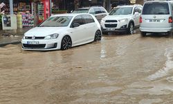 İzmir'in Ödemiş ilçesinde etkili olan sağanak hayatı olumsuz etkiledi