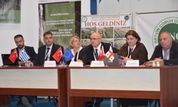 Karadeniz'in bakir ormanları uluslararası projeyle tespit edilecek