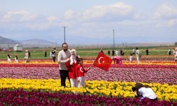 Karaman lale tarlalarıyla ziyaretçi çekiyor