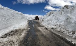 Kardan kapanan Ardahan-Ardanuç kara yolu yaklaşık 4 ay sonra ulaşıma açılıyor