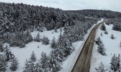 Karla kaplı Sarıkamış ormanları dronla görüntülendi