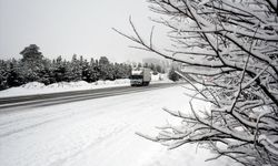 Kars ve Ardahan'da ilkbaharda kar etkili oldu