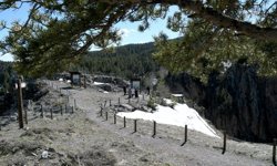 Kars'ın bazı bölgelerinde doğa canlanmaya başladı