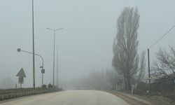 Kastamonu'da sis etkili oluyor