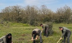 Kocaeli'de izinsiz salep orkidesi toplayan kişiye 699 bin lira ceza