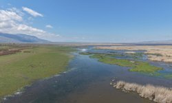 Kuraklık riski altındaki Eber Gölü'nün su seviyesi üç kat arttı