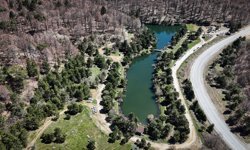 Kütahya'da Türkiye Oryantiring Şampiyonası Milli Takım Seçme Yarışı yapıldı