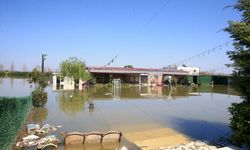 Manisa'da akarsuların taşması sonucu bağ evleri ve tarım arazileri su altında kaldı