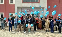 Mardin'de otizmli çocuklar gökyüzüne mavi balonlar bıraktı