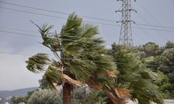 Muğla'da fırtına ve sağanak etkili oluyor