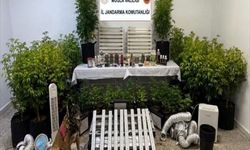 Muğla'da uyuşturucu operasyonlarında 14 zanlı tutuklandı