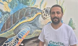 Muğla'daki İztuzu kumsalı caretta carettalar için hazırlandı