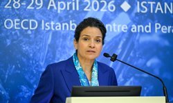 OECD Kritik Mineraller Forumu